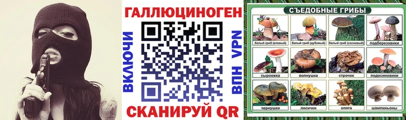 Псилоцибиновые грибы прущие грибы  Купить где  Темрюк 
